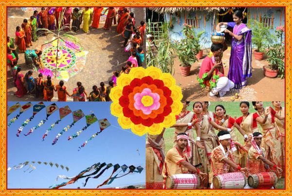 3 sankranti.jpg