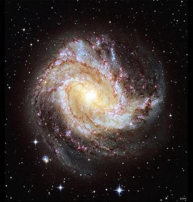 post-214-095601500 1298341877_thumb.jpg