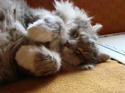 post-2514-064645700 1298369280_thumb.jpg