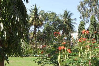 post-4641-007185700 1298669078_thumb.jpg