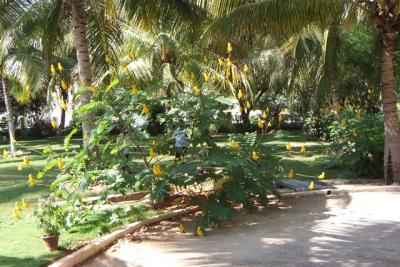 post-4641-013656800 1298669865_thumb.jpg