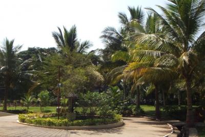 post-4641-032235800 1298669706_thumb.jpg