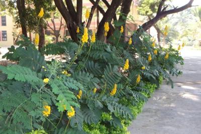 post-4641-034072300 1298669625_thumb.jpg