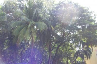 post-4641-035688400 1298669332_thumb.jpg