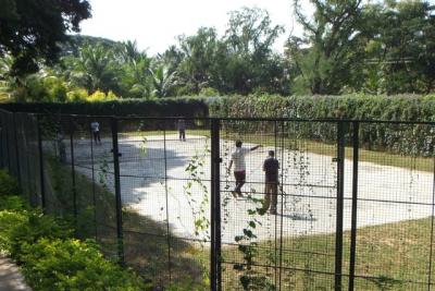 post-4641-054793700 1298669509_thumb.jpg