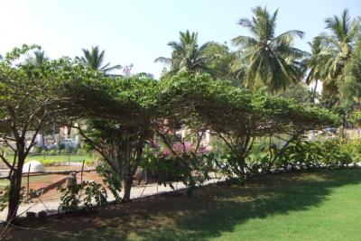 post-4641-056583800 1298669134_thumb.jpg