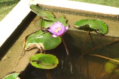 post-4641-075965800 1298669872_thumb.jpg