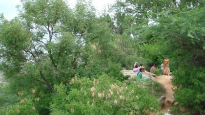 post-4641-095525400 1298670398_thumb.jpg