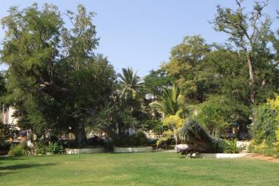 post-4641-097786400 1298669800_thumb.jpg