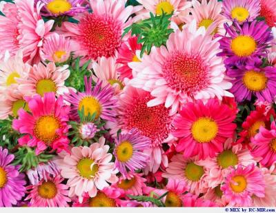 post-1135-013140800 1299609717_thumb.jpg