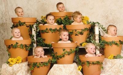 post-2505-089506400 1299008874_thumb.jpg