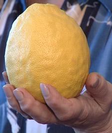 post-7-014942800 1299697309_thumb.jpg