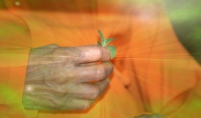 post-5700-084908900 1303025028_thumb.jpg