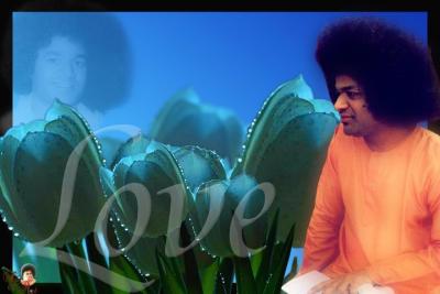 post-3333-022087000 1306474875_thumb.jpg