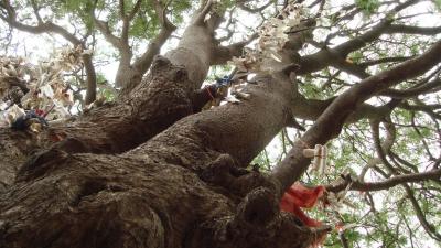 post-4641-060870100 1305958919_thumb.jpg