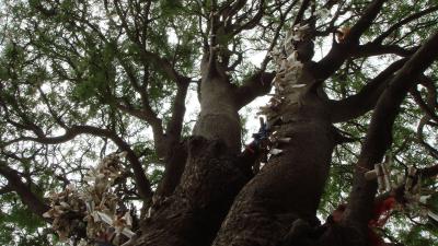 post-4641-098054600 1305987319_thumb.jpg