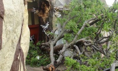 post-7-041293400 1305879748_thumb.jpg