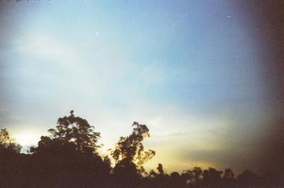 post-2364-014974200 1309366816_thumb.jpg