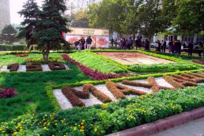 post-2514-007697500 1307569601_thumb.jpg