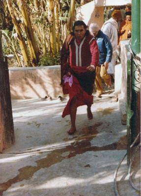 post-4739-023246000 1309772797_thumb.jpg