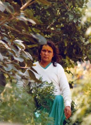 post-4739-094447900 1309772781_thumb.jpg