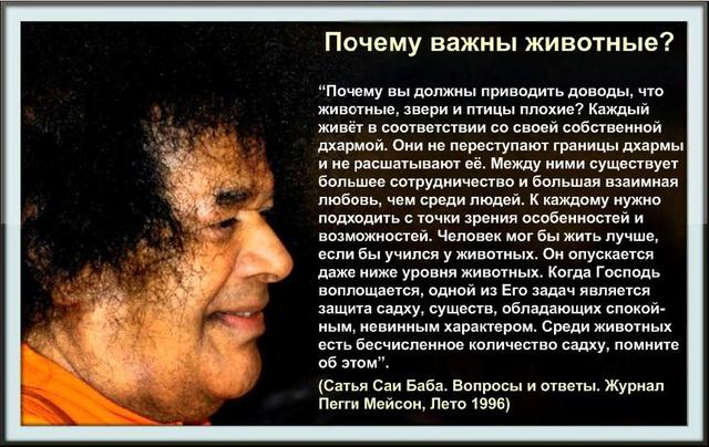 whydoanimalsmatter2.JPG