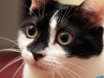 post-214-028628500 1281053814_thumb.jpg