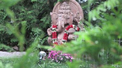 post-214-048784500 1281802448_thumb.jpg