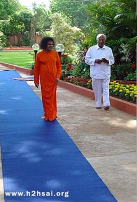 post-2364-020513900 1282544345_thumb.jpg