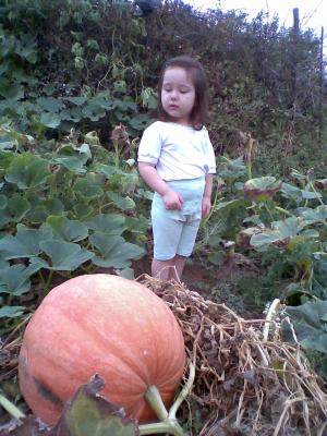 post-4739-012952000 1281130187_thumb.jpg