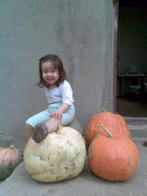 post-4739-087115700 1281038033_thumb.jpg