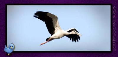 post-2364-015544500 1314166767_thumb.jpg