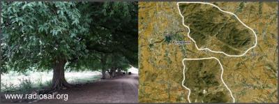 post-2364-016074900 1312523990_thumb.jpg