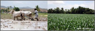 post-2364-017200800 1312523795_thumb.jpg