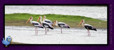 post-2364-020538900 1314166870_thumb.jpg