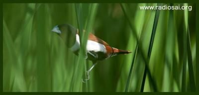 post-2364-025792300 1314434456_thumb.jpg