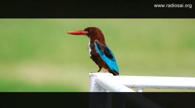 post-2364-028749000 1312524043_thumb.jpg