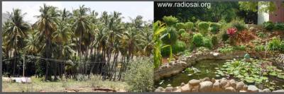 post-2364-031722700 1312523889_thumb.jpg