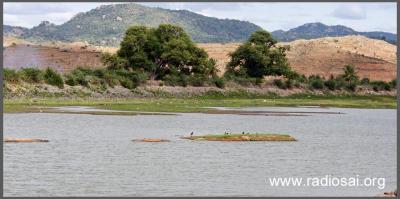 post-2364-032394600 1312523971_thumb.jpg