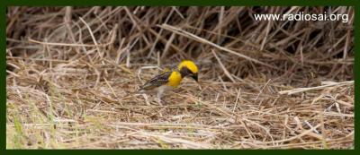 post-2364-038958100 1314434407_thumb.jpg