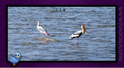 post-2364-039400700 1314166813_thumb.jpg