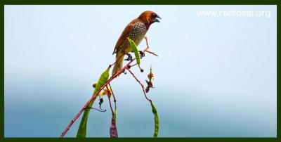 post-2364-039437200 1314434497_thumb.jpg