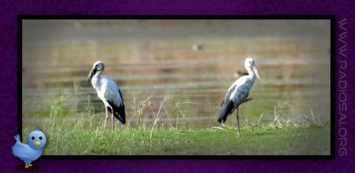 post-2364-044546000 1314166747_thumb.jpg