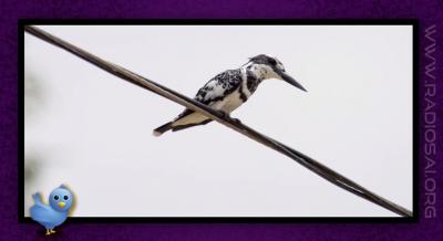 post-2364-045644000 1314166894_thumb.jpg