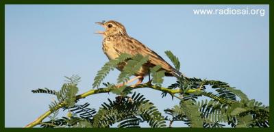 post-2364-050058900 1314434341_thumb.jpg