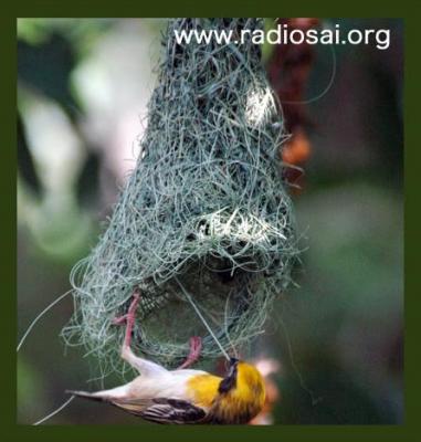 post-2364-050451800 1314434422_thumb.jpg