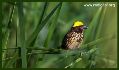 post-2364-053778200 1314434381_thumb.jpg