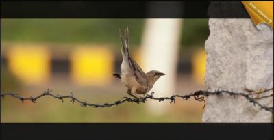 post-2364-055863900 1312786685_thumb.jpg