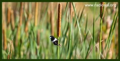 post-2364-056184300 1314434476_thumb.jpg