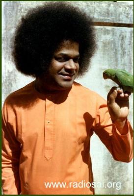 post-2364-061242000 1312786910_thumb.jpg